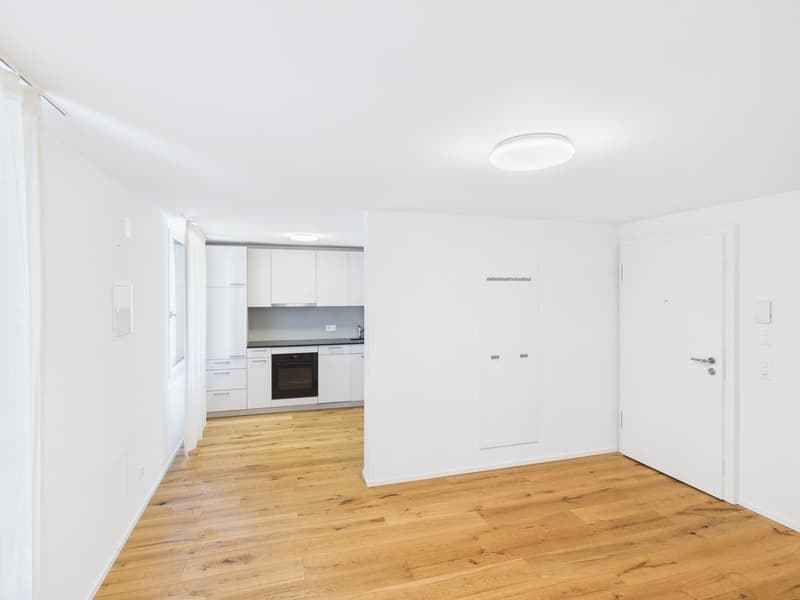 Moderne 1.5-Zimmer-Wohnung in Zentrumsnähe (2)