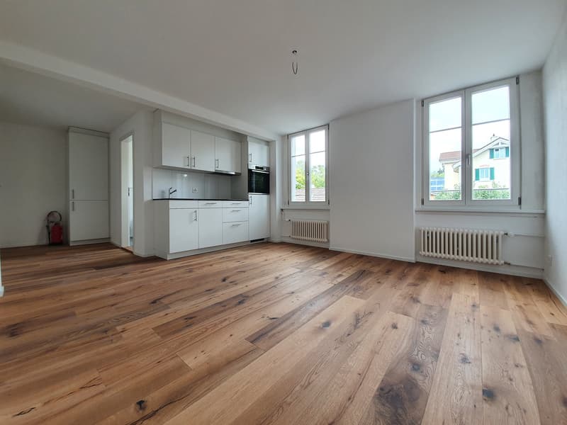 Moderne 1.5-Zimmerwohnung mit viel Tageslicht (1)