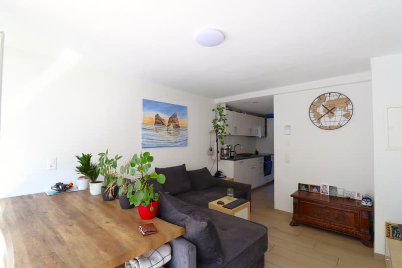 Gemütliche 2.5-Zimmer-Wohnung im Erdgeschoss (3)
