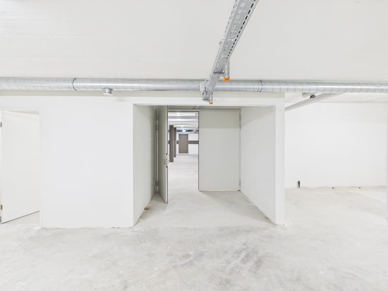 Grosszügige Lagerfläche mit 130 m² in Altstätten SG (2)
