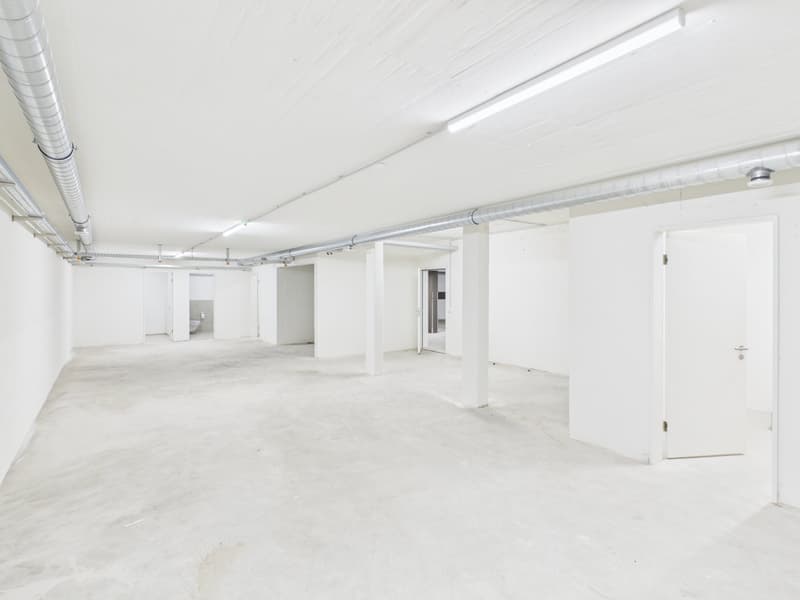 Grosszügige Lagerfläche mit 130 m² in Altstätten SG (3)