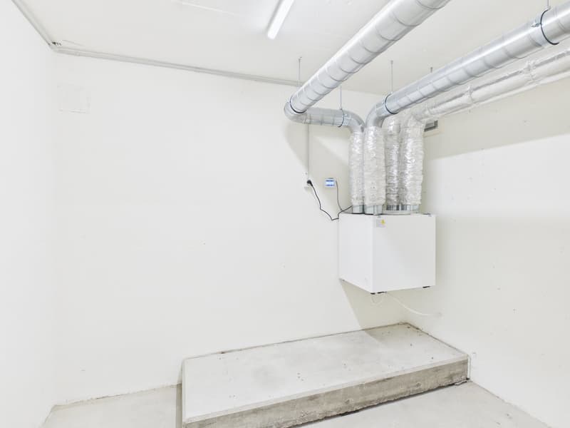 Grosszügige Lagerfläche mit 130 m² in Altstätten SG (6)