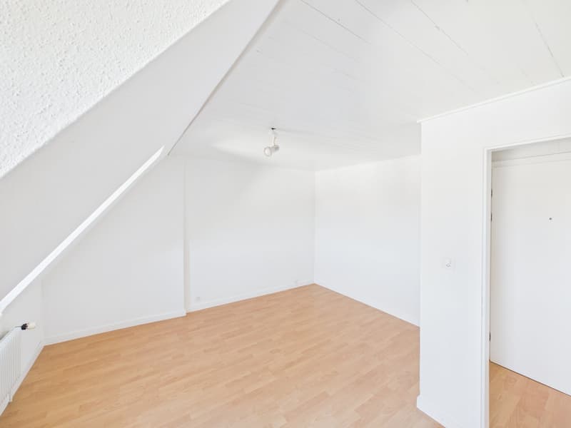 Charmante 2-Zimmer-Dachwohnung an der Teufener Strasse (8)