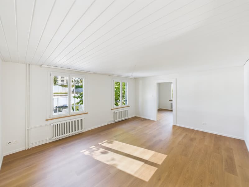 Renovierte 3.5-Zimmer-Altbauwohnung an der Sankt Jakob-Strasse (5)