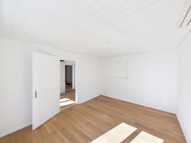 Renovierte 3.5-Zimmer-Altbauwohnung an der Sankt Jakob-Strasse (2)