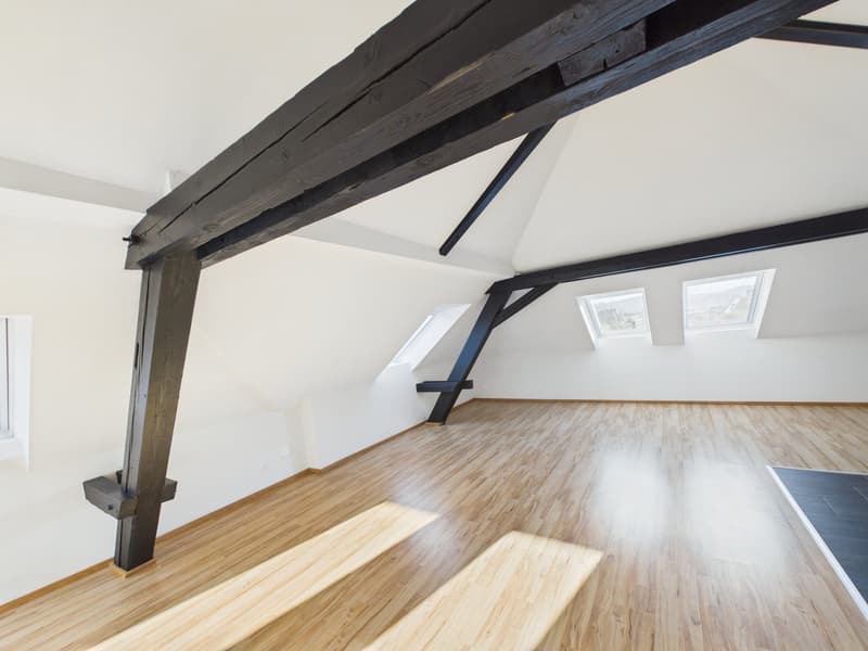 Charmante 1.5-Zimmer-Dachwohnung im Herzen von St. Gallen (2)