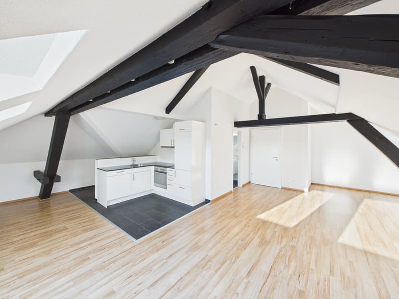 Charmante 1.5-Zimmer-Dachwohnung im Herzen von St. Gallen (1)