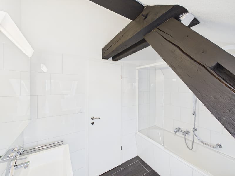 Charmante 1.5-Zimmer-Dachwohnung im Herzen von St. Gallen (4)