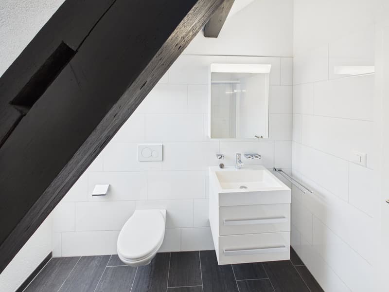 Charmante 1.5-Zimmer-Dachwohnung im Herzen von St. Gallen (5)