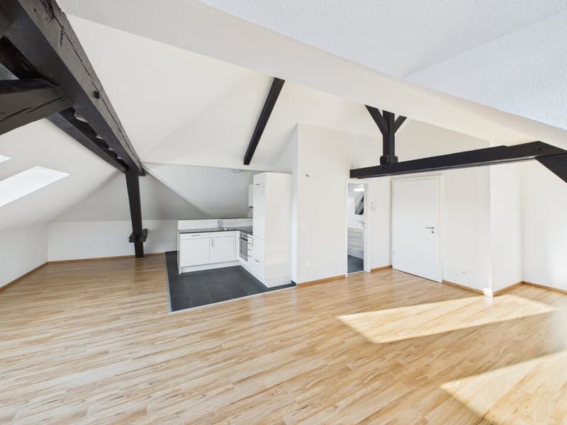 Charmante 1.5-Zimmer-Dachwohnung im Herzen von St. Gallen (12)