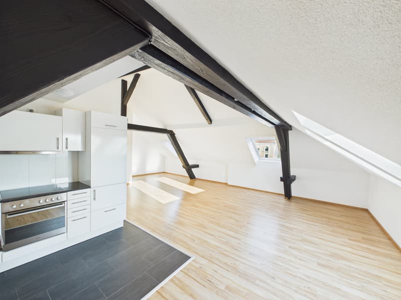 Charmante 1.5-Zimmer-Dachwohnung im Herzen von St. Gallen (10)