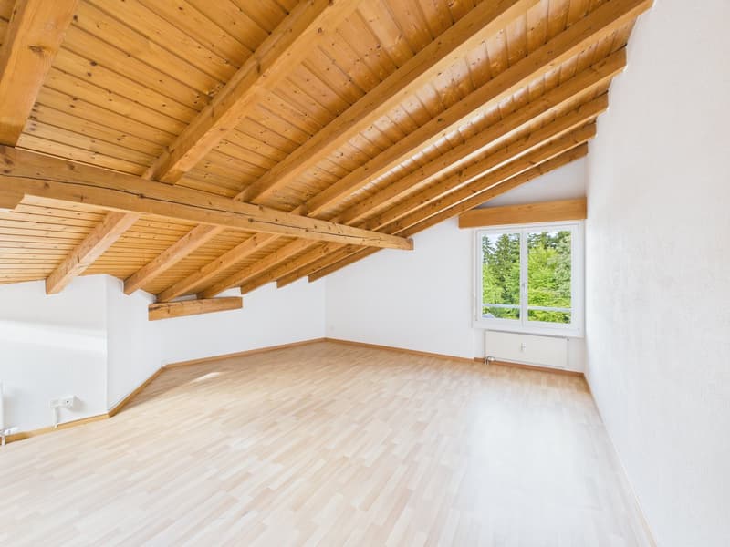 Grosszügige 6-Zimmer-Dachwohnung an ruhiger Lage in Uzwil (7)