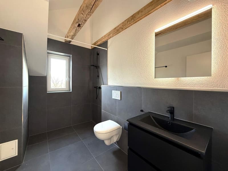 Charmante 3.5-Zimmer-Dachwohnung in Goldach (4)