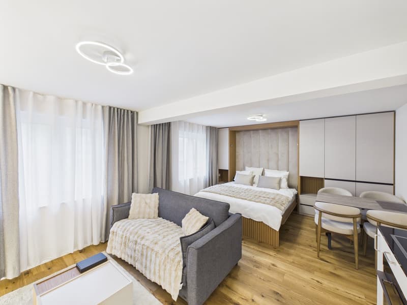 Möbliertes 1-Zimmer-Apartment im 2. OG (6)