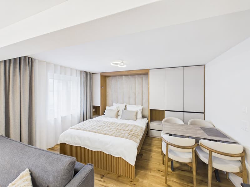 Möbliertes 1-Zimmer-Apartment im 2. OG (2)