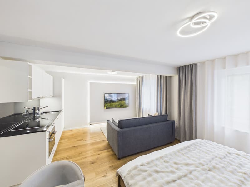 Möbliertes 1-Zimmer-Apartment im 2. OG (7)