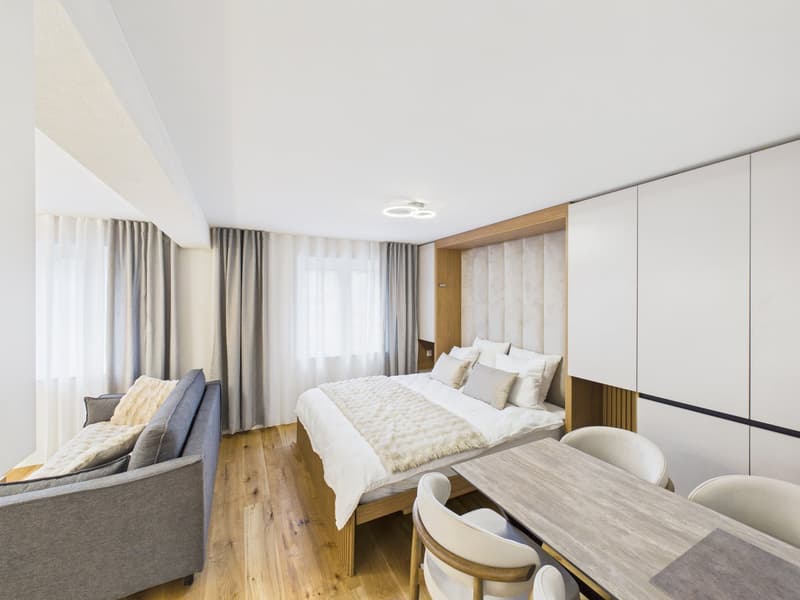Möbliertes 1-Zimmer-Apartment im 2. OG (8)