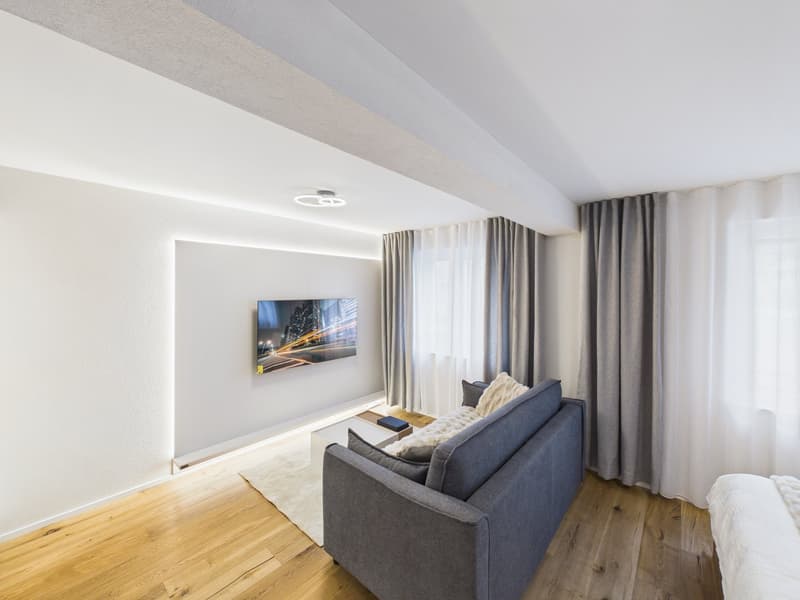Möbliertes 1-Zimmer-Apartment im 2. OG (3)