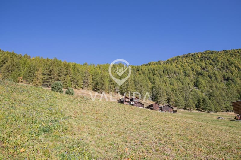 Terreno edificabile in una posizione soleggiata a Gspon (2)