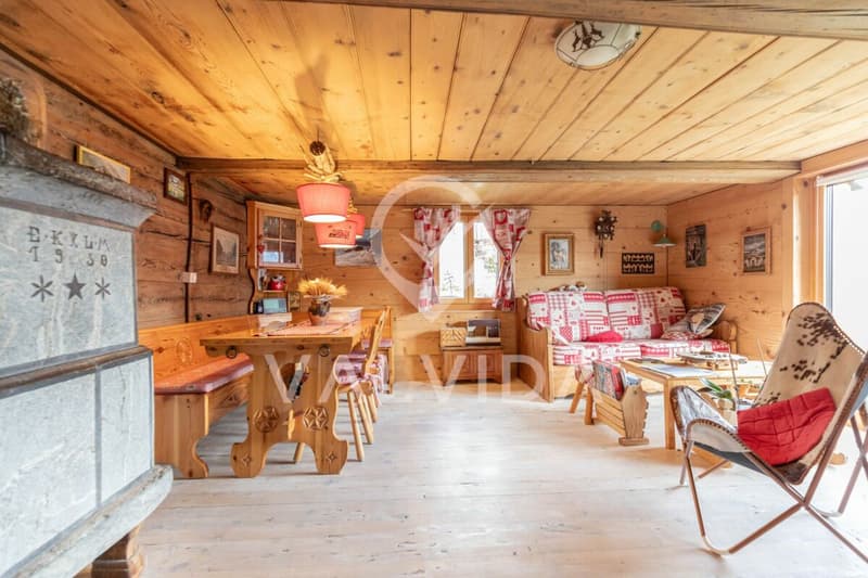 Tradition meets Modernity - lovingly renovated 5.5-room apartment with vegetable garden (7)