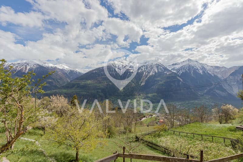 Tradition meets Modernity - lovingly renovated 5.5-room apartment with vegetable garden (16)