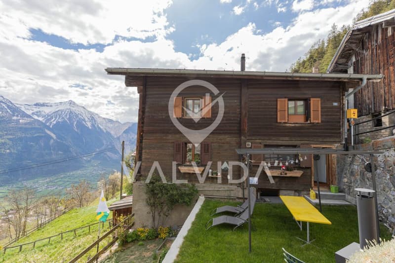 Tradition meets Modernity - lovingly renovated 5.5-room apartment with vegetable garden (14)