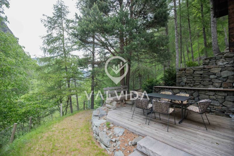 Natura pura - Casa vacanza in posizione pittoresca e tranquilla (13)