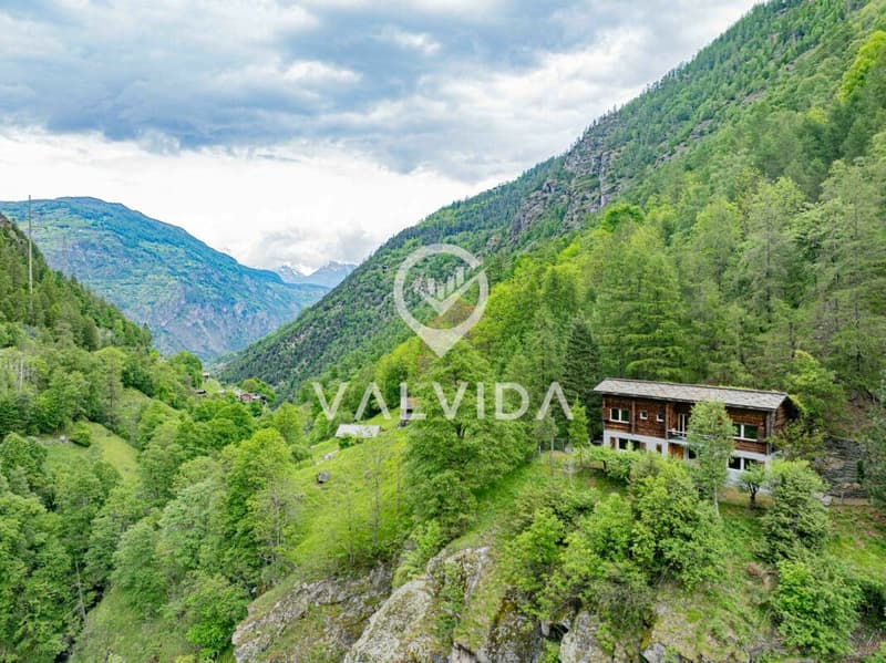 Natura pura - Casa vacanza in posizione pittoresca e tranquilla (12)