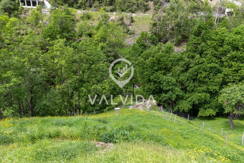 Natura pura - Casa vacanza in posizione pittoresca e tranquilla (16)