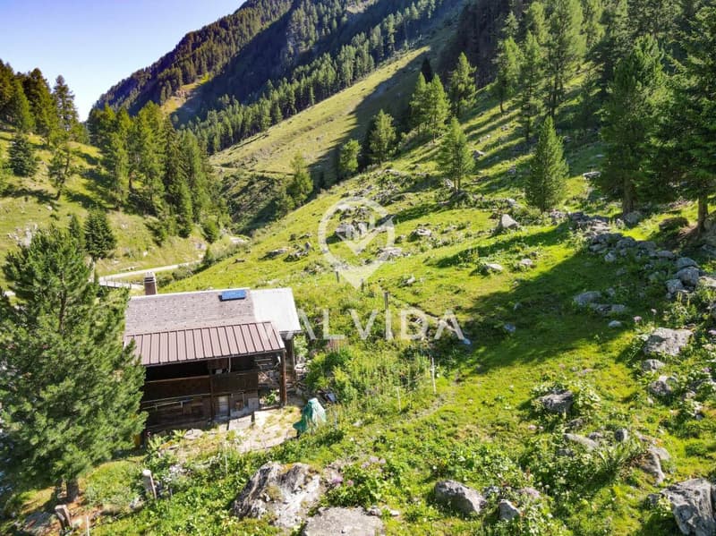 Seltene Gelegenheit im Turtmanntal - Chalet in traumhafter Lage (11)