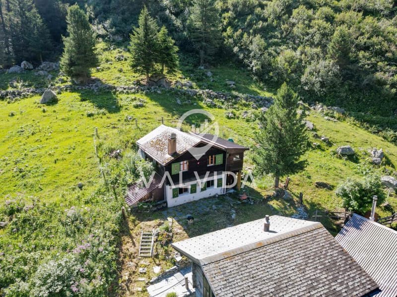 Seltene Gelegenheit im Turtmanntal - Chalet in traumhafter Lage (3)