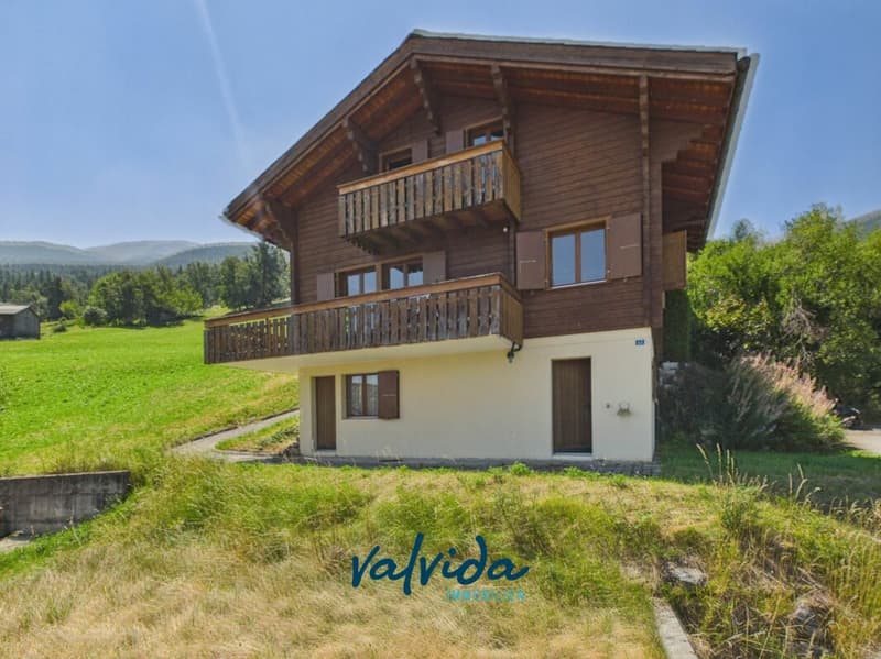 Charmantes, alleinstehendes Chalet mit viel Umschwung in Unterbäch (14)