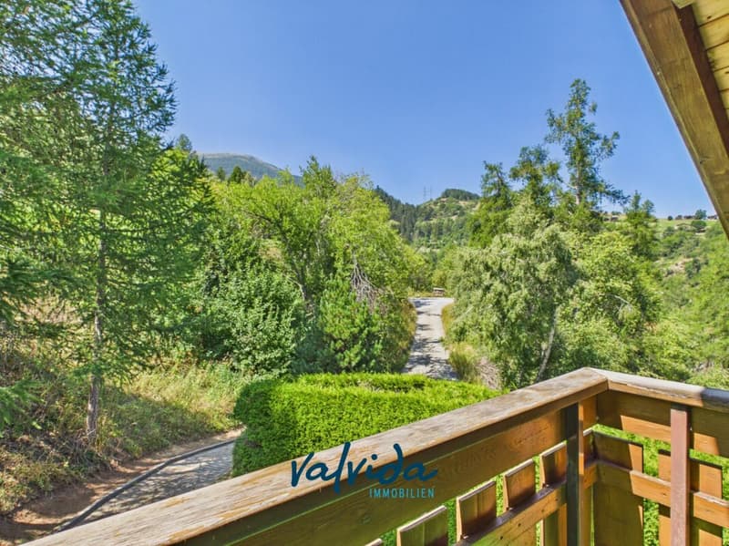 Charmantes, alleinstehendes Chalet mit viel Umschwung in Unterbäch (13)