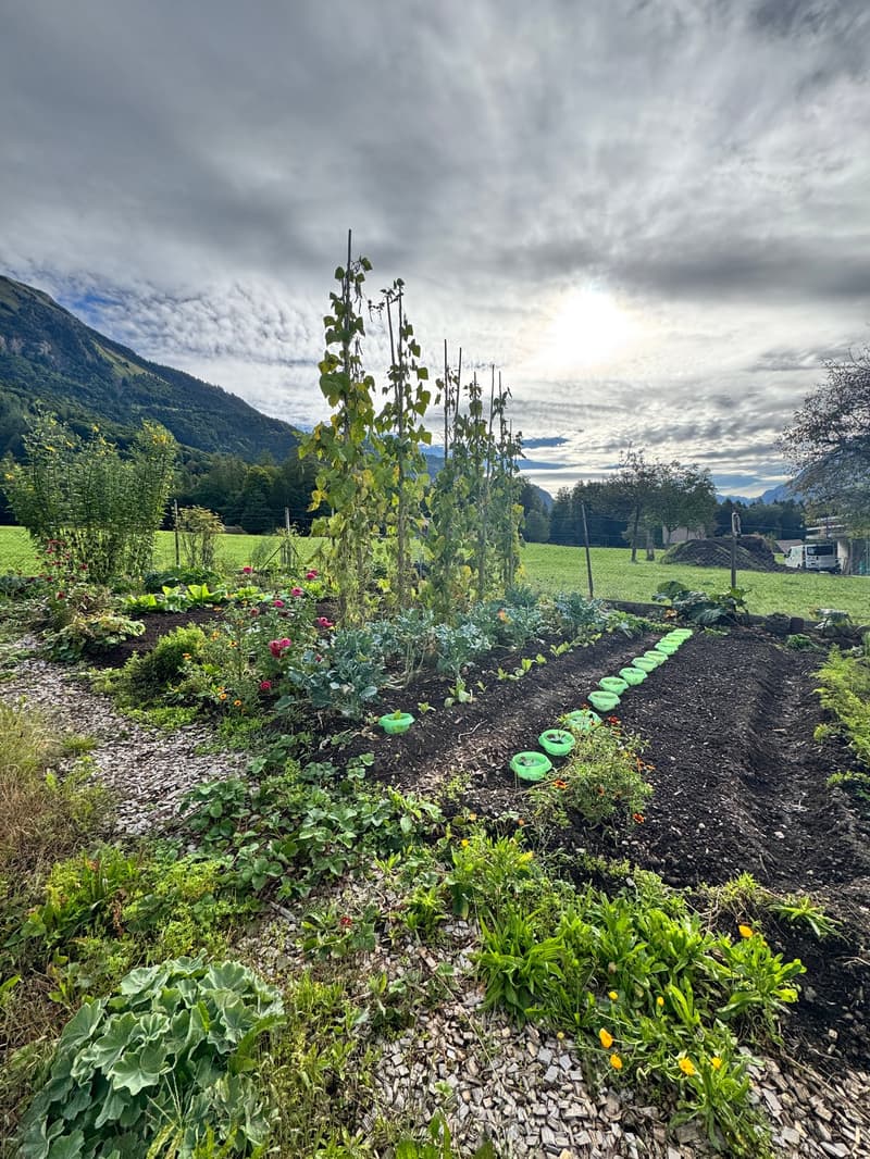 Ankommen, wohlfühlen – Haushälfte mit Baulandreserve in Hofstetten bei Brienz (16)