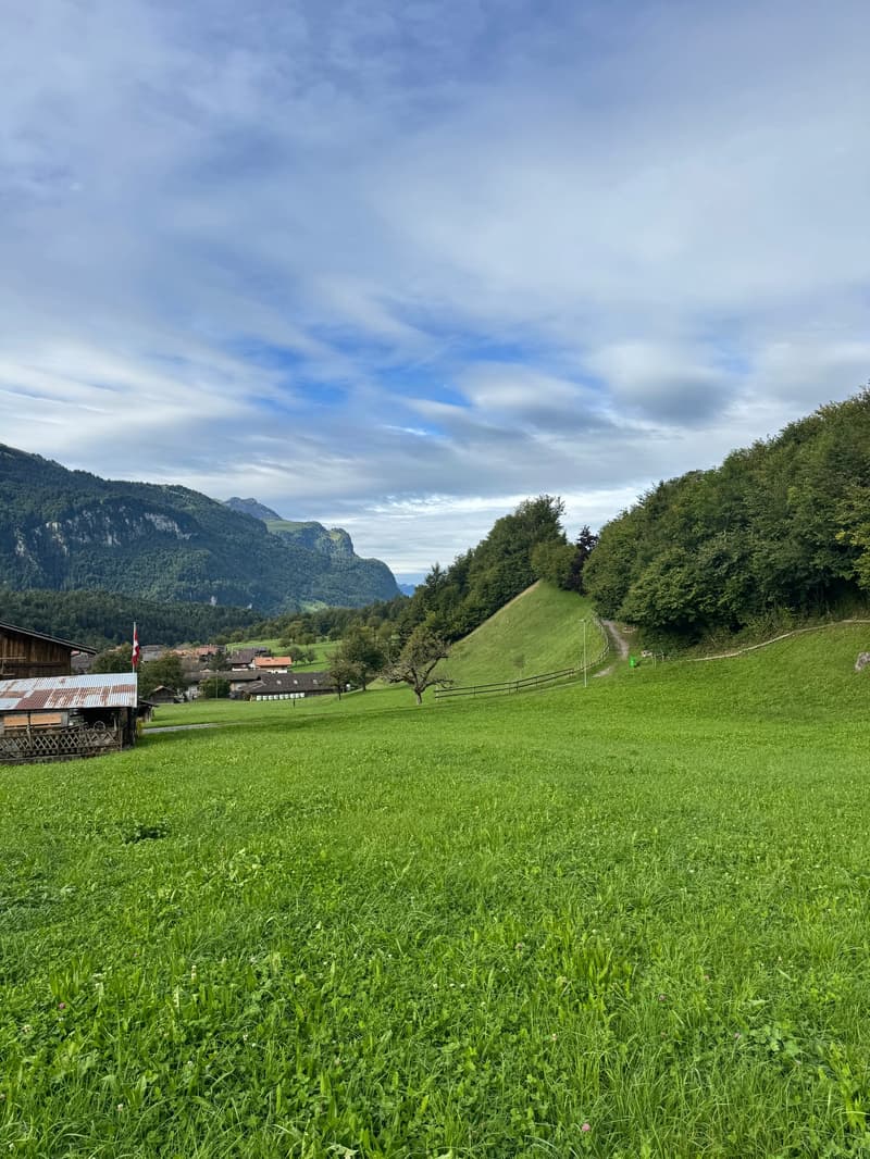 Ankommen, wohlfühlen – Haushälfte mit Baulandreserve in Hofstetten bei Brienz (19)