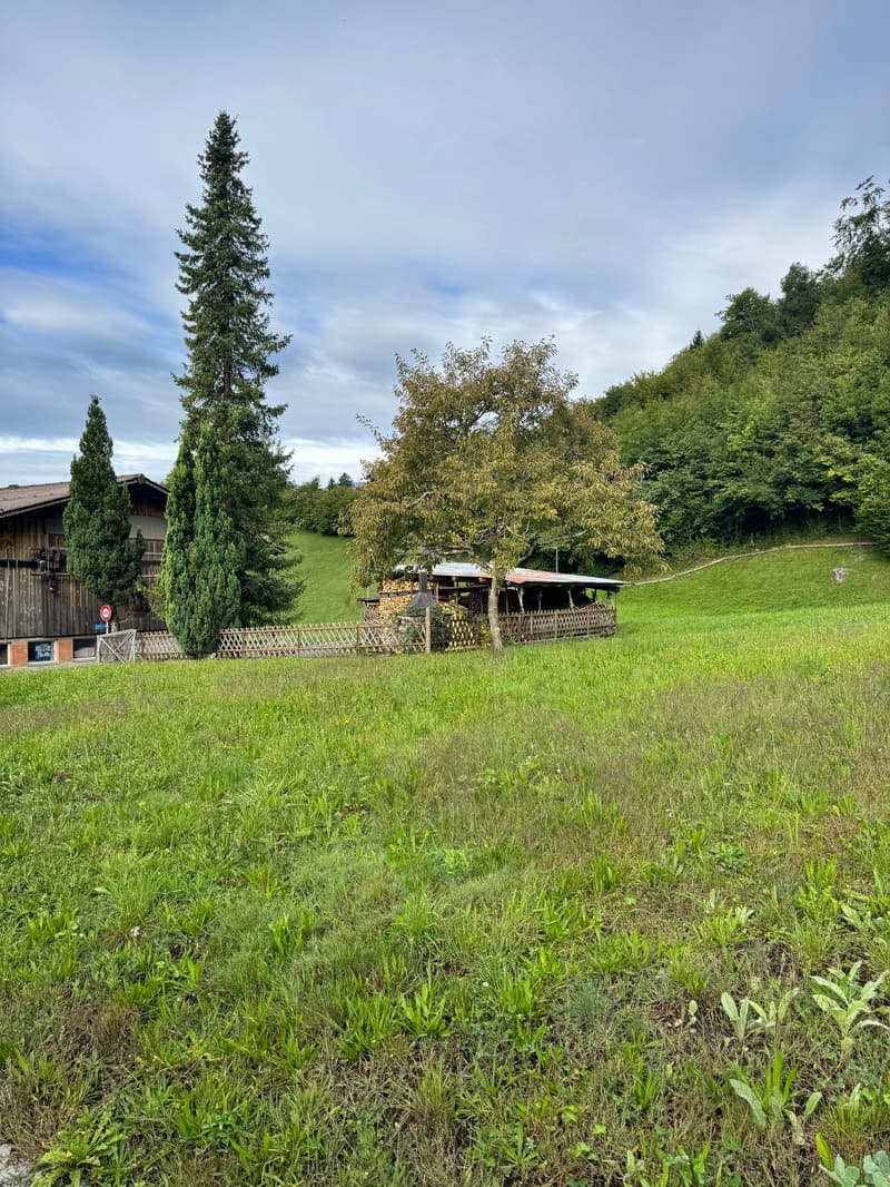 Ankommen, wohlfühlen – Haushälfte mit Baulandreserve in Hofstetten bei Brienz (20)
