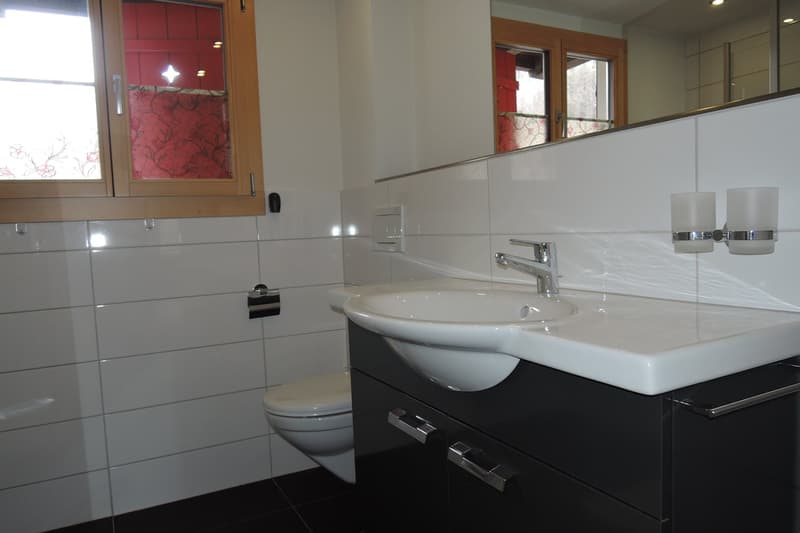 Haus mit 2 Wohnungen (10)