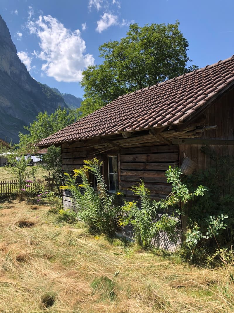Haus mit 2 Wohnungen (13)