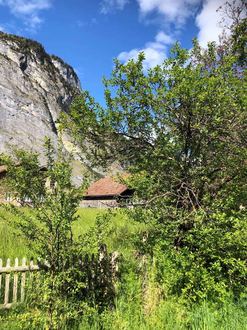 Haus mit 2 Wohnungen (19)