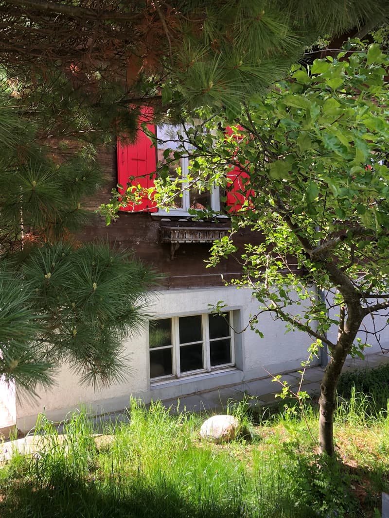 Haus mit 2 Wohnungen (15)