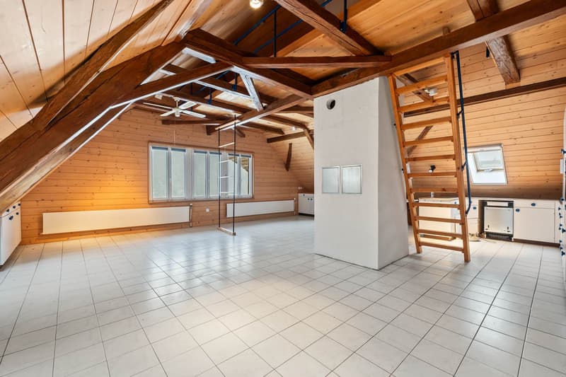 Casa colonica con quattro appartamenti nella zona di Weiler (13)