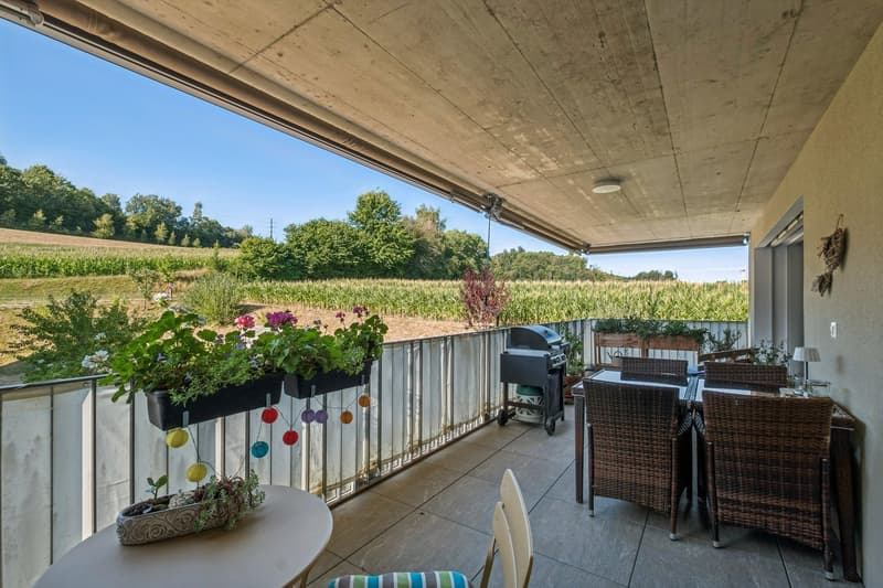 Moderne, perfekt durchdachte 31⁄2 Zimmer-Wohnung zentral und naturnah gelegen in Safenwil (7)