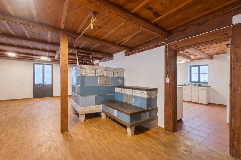 Bauernhaus mit vier Wohnungen in der Weilerzone (2)