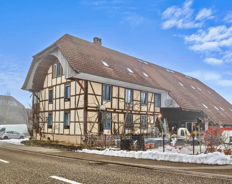 Bauernhaus mit vier Wohnungen in der Weilerzone (1)