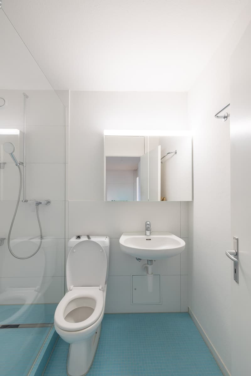 Moderne Eckwohnung mit Stil und Weitsicht (10)