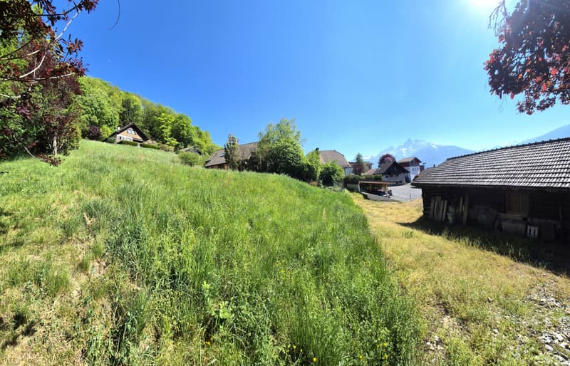 Parcelle constructible avec vue exceptionnelle de 893 m² à Antagnes/Ollon (2)