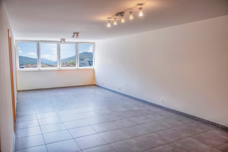 Grand 2,5 pièces refait à neuf + garage-box privé, Martigny Centre (7)