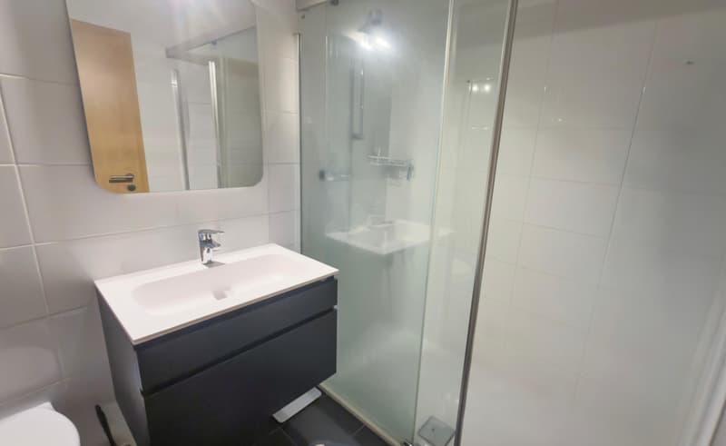 Grand 2,5 pièces refait à neuf + garage-box privé, Martigny Centre (11)