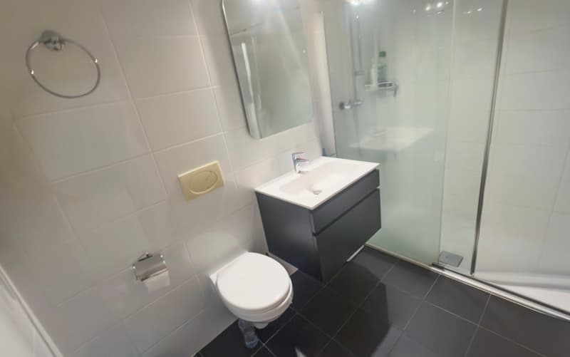 Grand 2,5 pièces refait à neuf + garage-box privé, Martigny Centre (10)