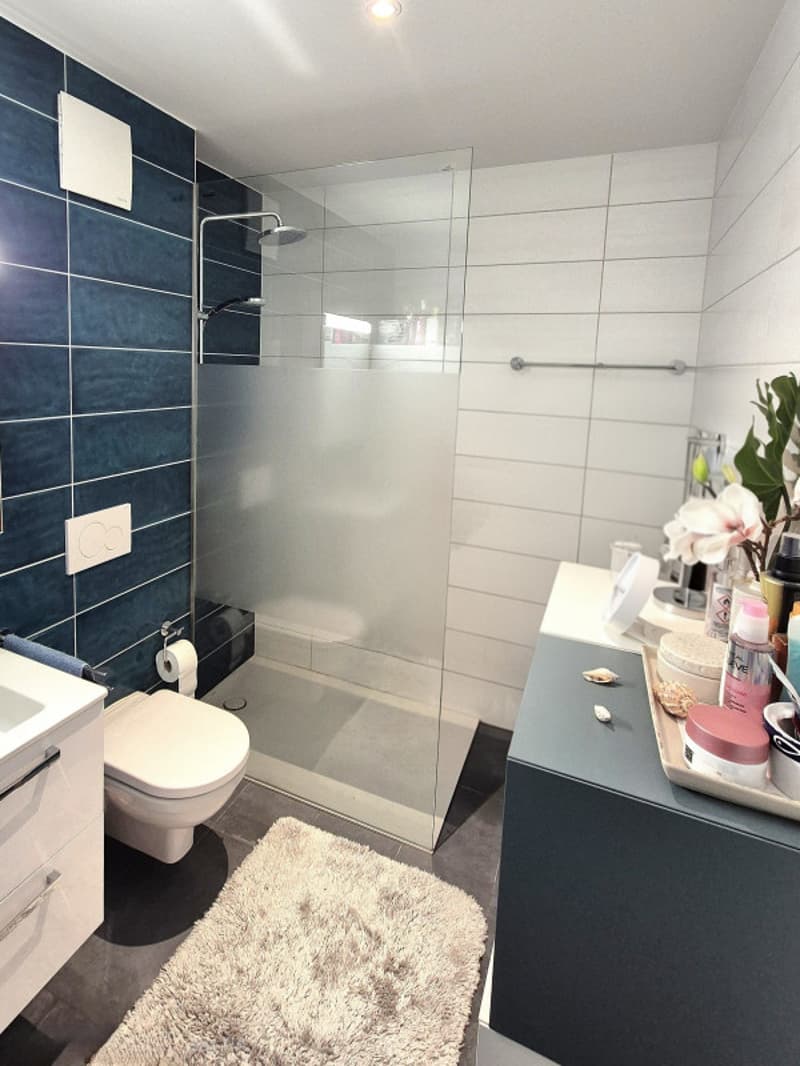 Superbe attique duplex Minergie de 4,5 pièces à deux pas du lac (7)